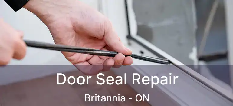  Door Seal Repair Britannia - ON