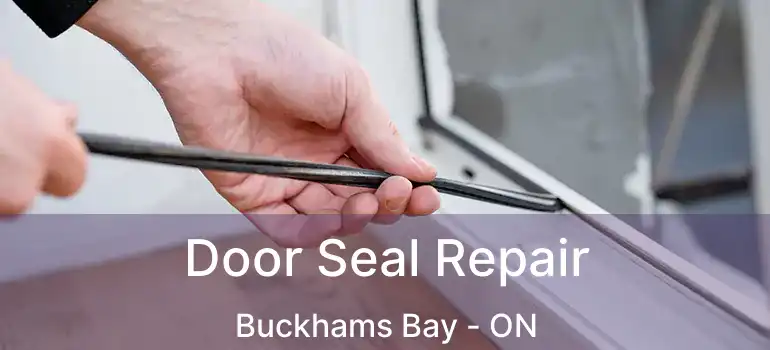  Door Seal Repair Buckhams Bay - ON