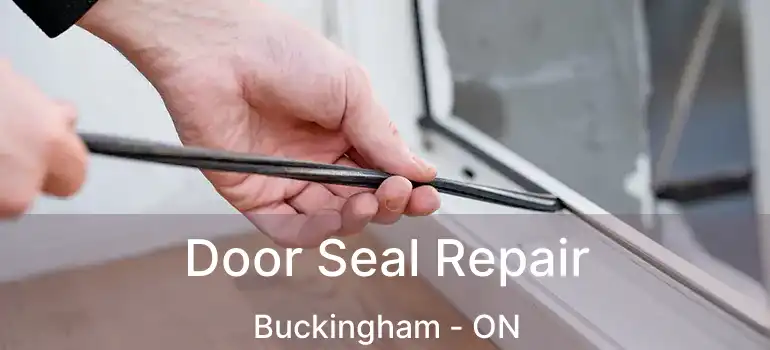  Door Seal Repair Buckingham - ON