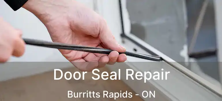  Door Seal Repair Burritts Rapids - ON