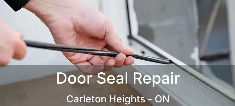  Door Seal Repair Carleton Heights - ON