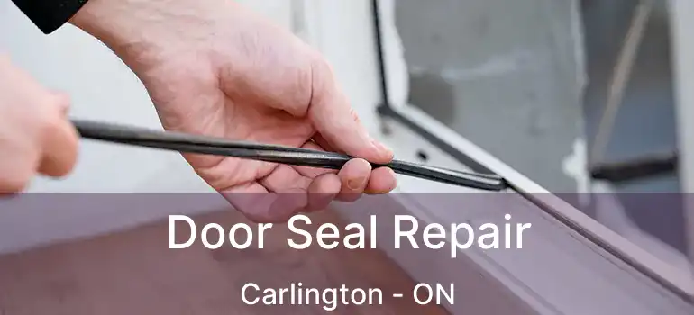  Door Seal Repair Carlington - ON