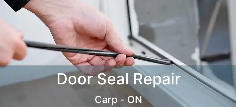  Door Seal Repair Carp - ON