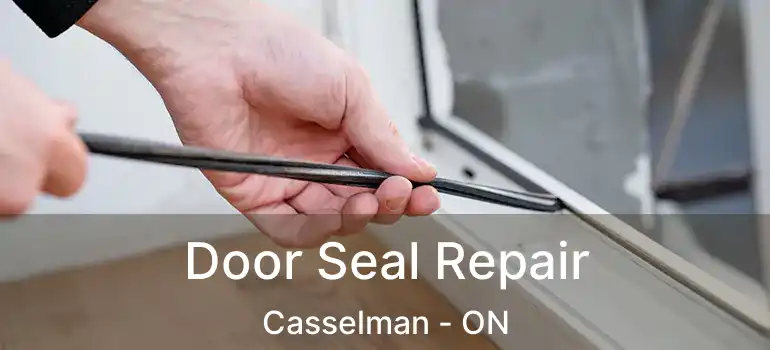  Door Seal Repair Casselman - ON