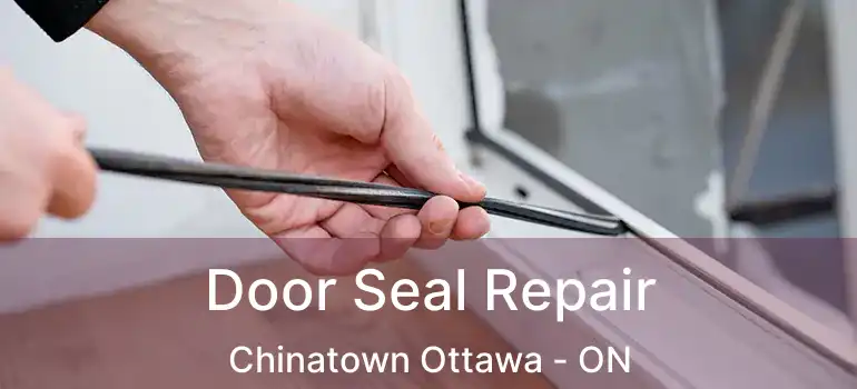  Door Seal Repair Chinatown Ottawa - ON