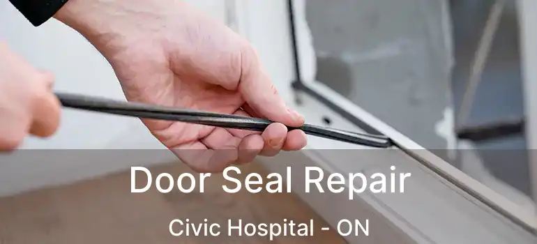  Door Seal Repair Civic Hospital - ON