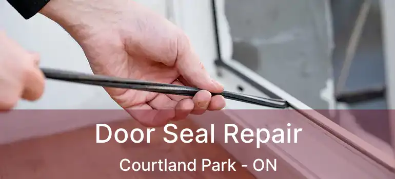  Door Seal Repair Courtland Park - ON