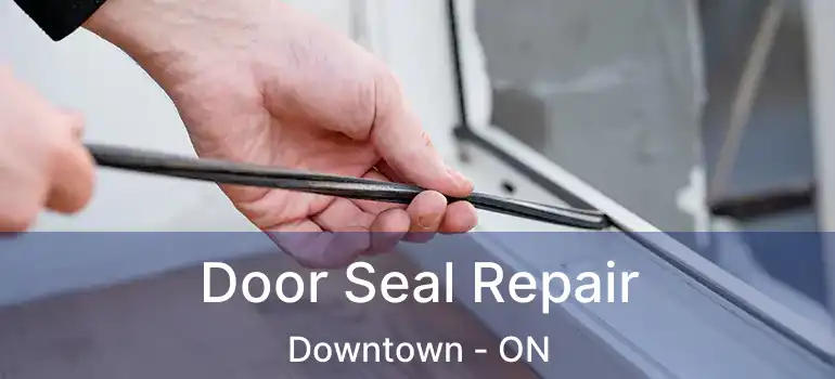  Door Seal Repair Downtown - ON