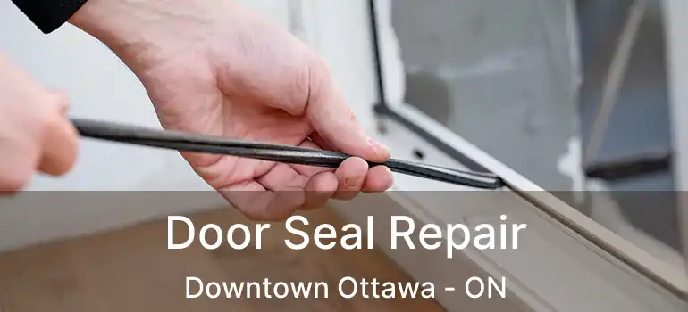  Door Seal Repair Downtown Ottawa - ON