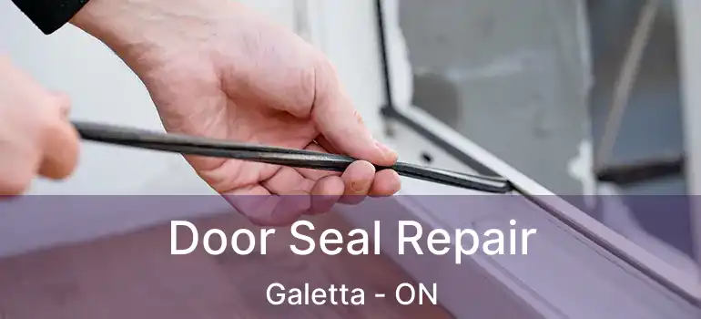  Door Seal Repair Galetta - ON