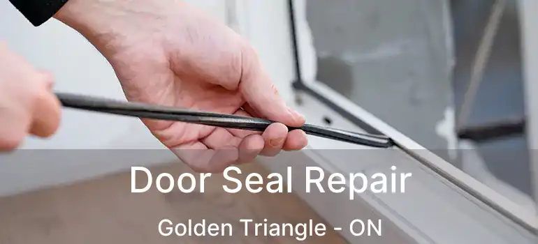  Door Seal Repair Golden Triangle - ON