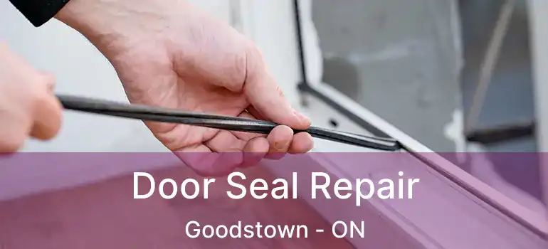  Door Seal Repair Goodstown - ON