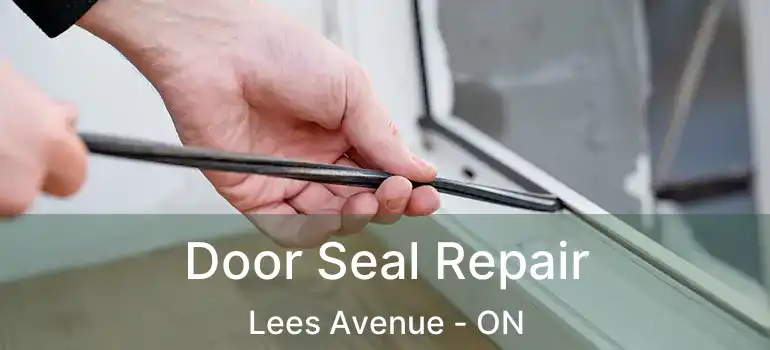  Door Seal Repair Lees Avenue - ON