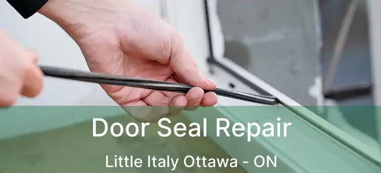  Door Seal Repair Little Italy Ottawa - ON