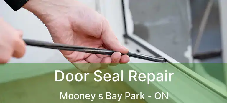  Door Seal Repair Mooney s Bay Park - ON