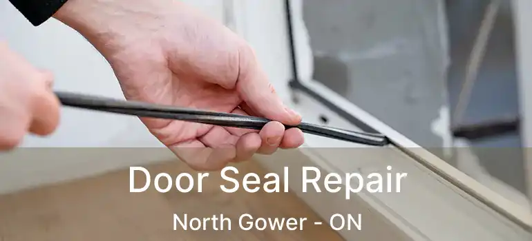  Door Seal Repair North Gower - ON