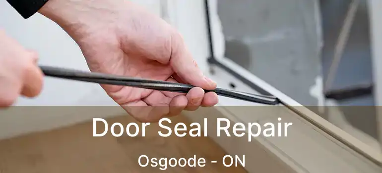  Door Seal Repair Osgoode - ON