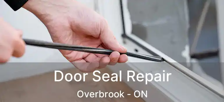  Door Seal Repair Overbrook - ON