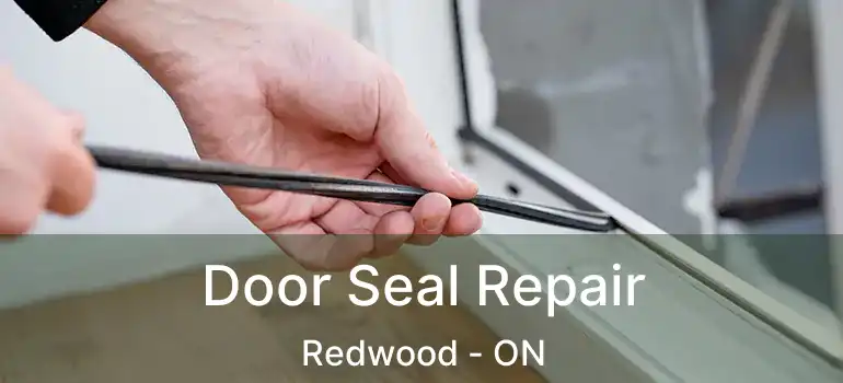  Door Seal Repair Redwood - ON