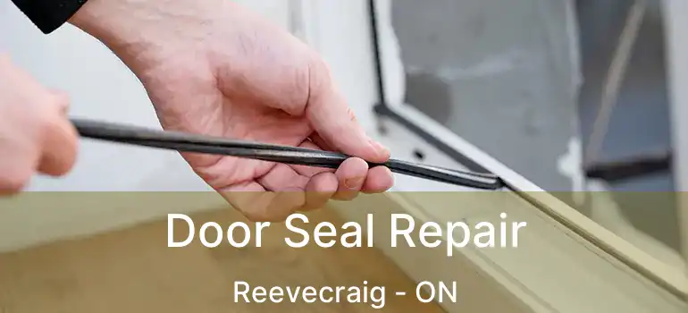  Door Seal Repair Reevecraig - ON