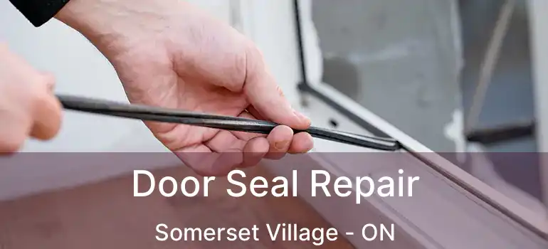  Door Seal Repair Somerset Village - ON