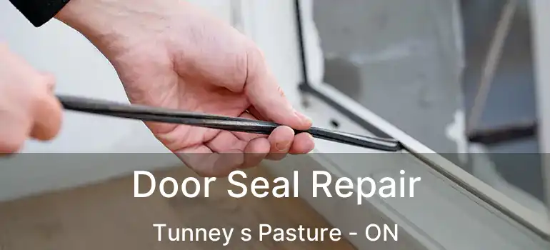  Door Seal Repair Tunney s Pasture - ON