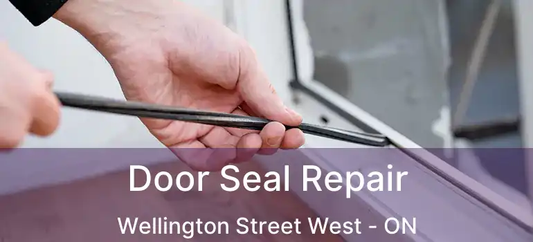  Door Seal Repair Wellington Street West - ON