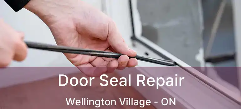  Door Seal Repair Wellington Village - ON