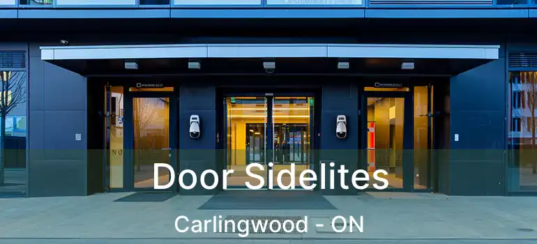  Door Sidelites Carlingwood - ON