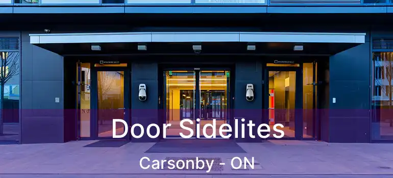  Door Sidelites Carsonby - ON