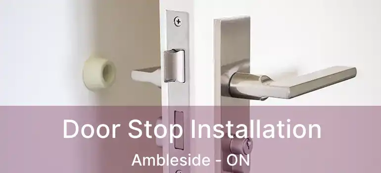  Door Stop Installation Ambleside - ON