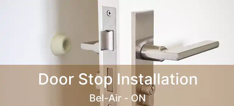  Door Stop Installation Bel-Air - ON