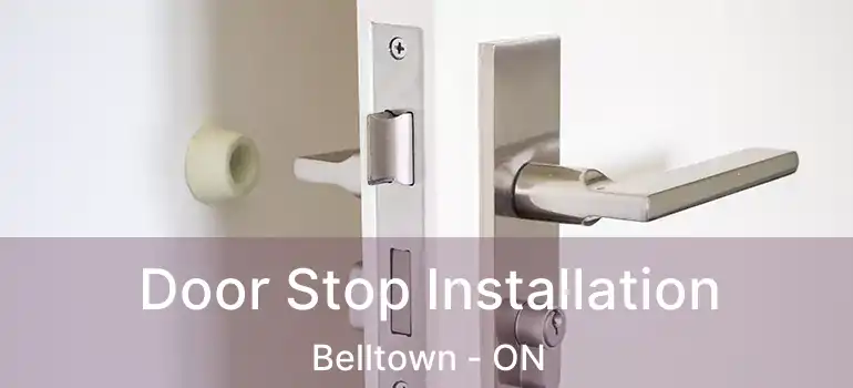  Door Stop Installation Belltown - ON