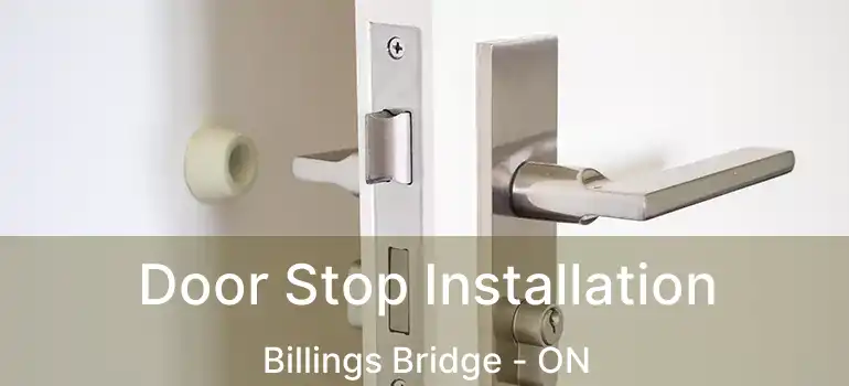  Door Stop Installation Billings Bridge - ON