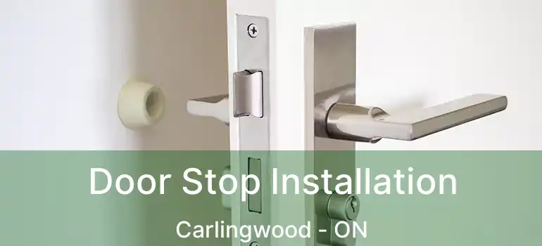  Door Stop Installation Carlingwood - ON