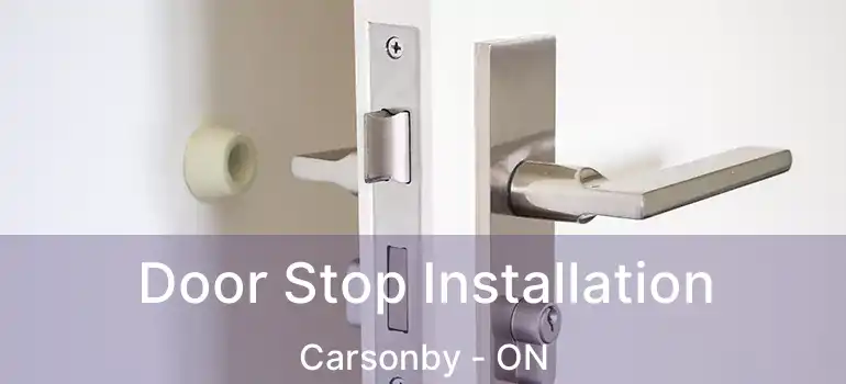  Door Stop Installation Carsonby - ON