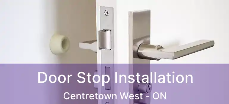  Door Stop Installation Centretown West - ON