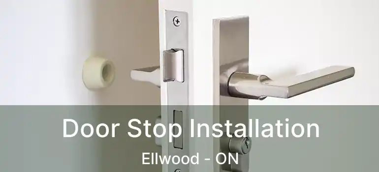  Door Stop Installation Ellwood - ON