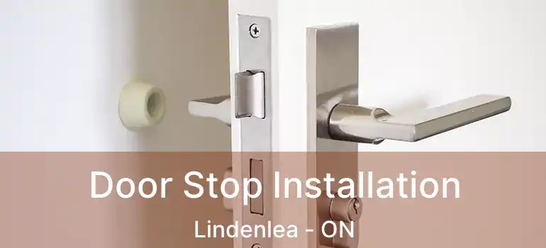  Door Stop Installation Lindenlea - ON