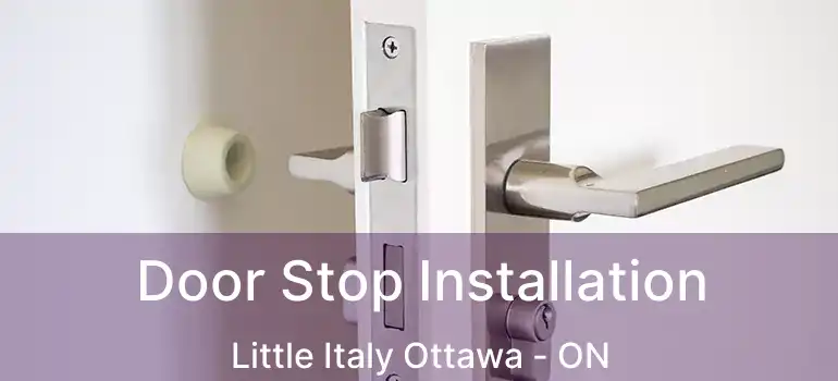  Door Stop Installation Little Italy Ottawa - ON