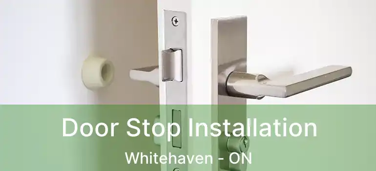  Door Stop Installation Whitehaven - ON