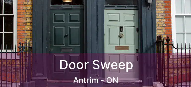  Door Sweep Antrim - ON