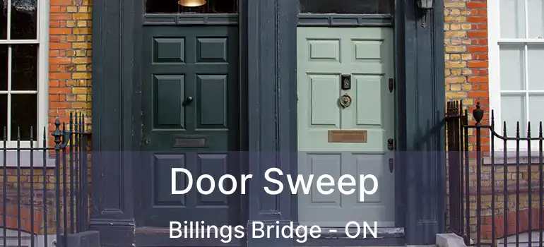  Door Sweep Billings Bridge - ON