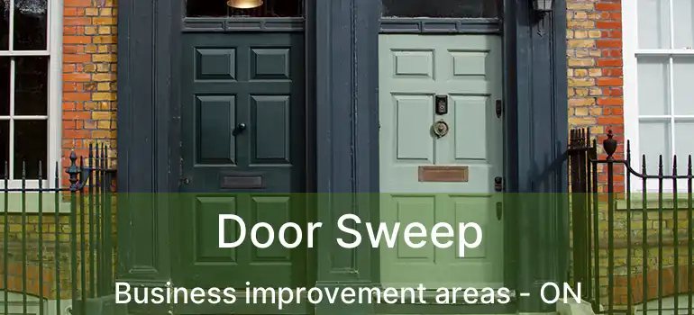  Door Sweep Business improvement areas - ON