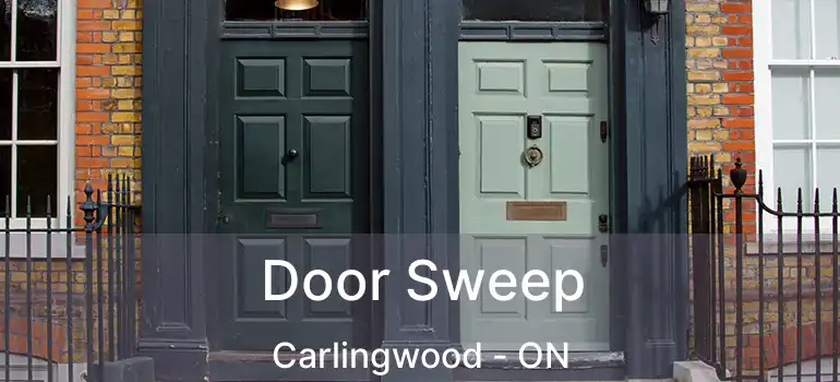  Door Sweep Carlingwood - ON