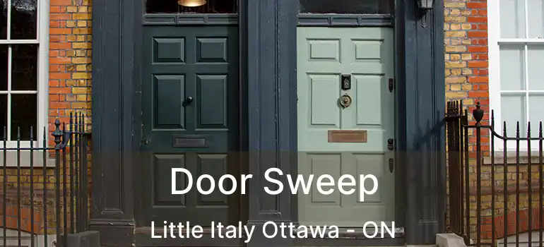  Door Sweep Little Italy Ottawa - ON