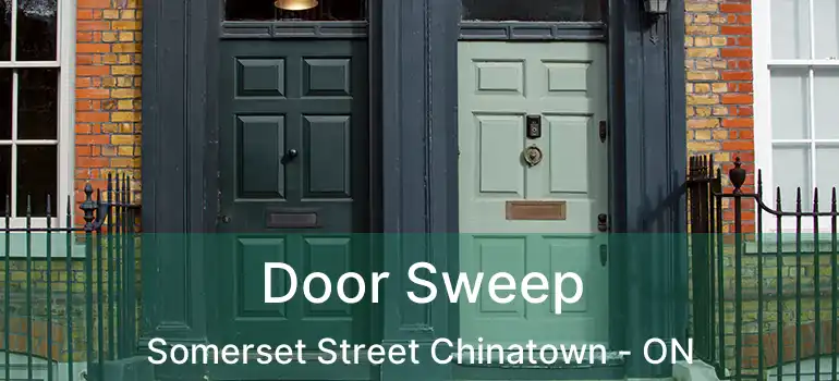  Door Sweep Somerset Street Chinatown - ON