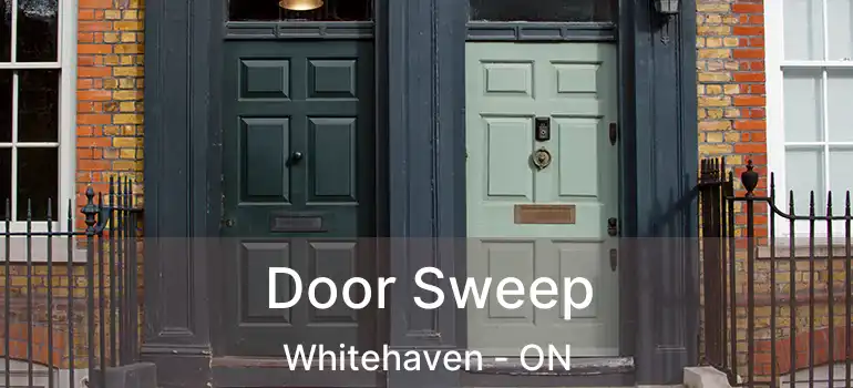  Door Sweep Whitehaven - ON