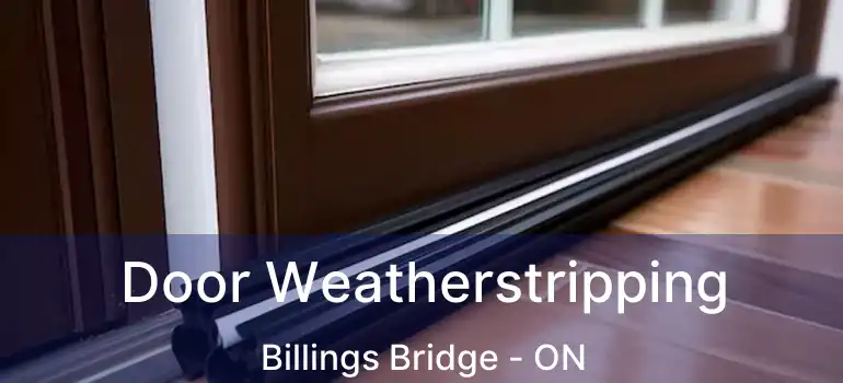  Door Weatherstripping Billings Bridge - ON