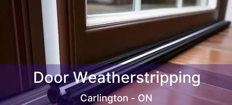  Door Weatherstripping Carlington - ON